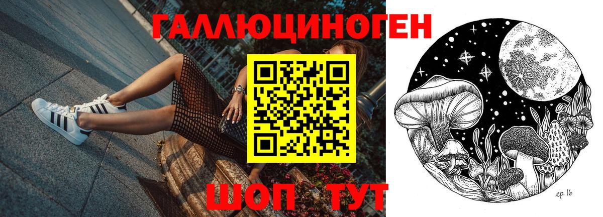 Кудымкар  Псилоцибиновые грибы Psilocybine cubensis  Вход с VPN 