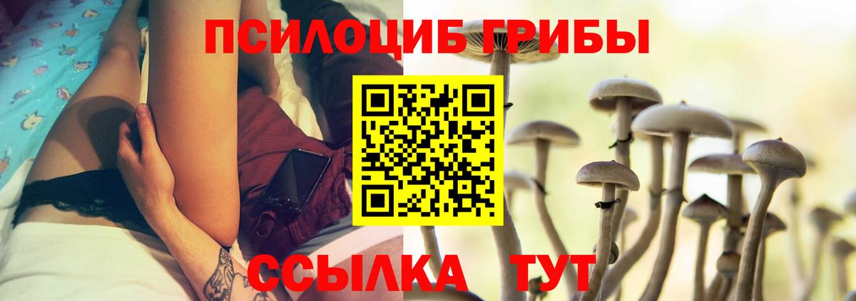 Псилоцибиновые грибы Magic Shrooms Кудымкар