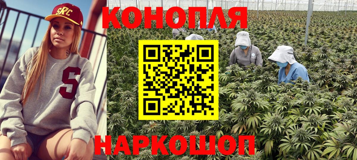 Канабис гибрид Кудымкар